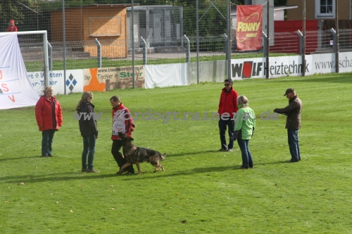 Schutzhund & Faehrtenarbeit