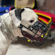 Wire muzzle for American Bulldog Black Rubbered