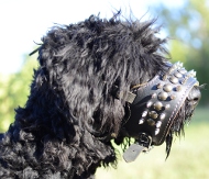 Schwarzer Terrier Hundemaulkorb aus Leder Spikes & Nieten