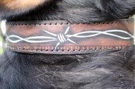 Hand Painted Mountain Dog Leather Collar with Barbed Wire
