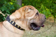 Fordogtrainers Shar Pei Halsband | Lederhalsband mit Platten