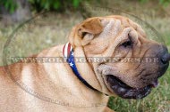 Shar Pei Designer Halsband "American Pride"|Hundehalsband Leder