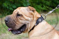 Shar Pei Designer-Konchen Halsband|Hundehalsband aus Leder Breit