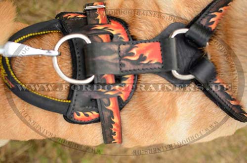 Shar-Pei Dog Harness Design