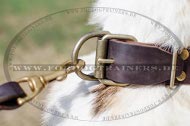 Super Leather Collar for Laika with Stylish Design buy