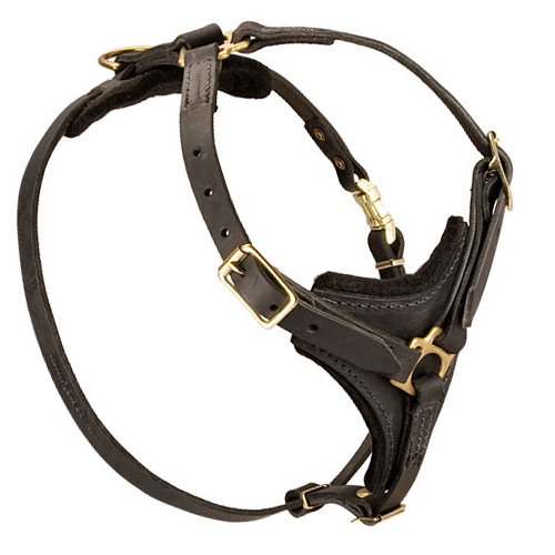 Tracking Harness, Leather Harness for Mantrailing