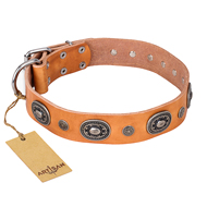 "Twinkle Twinkle" FDT Artisan luxus Hundehalsband "Twinkle Twinkle" FDT Artisan luxus Hundehalsband