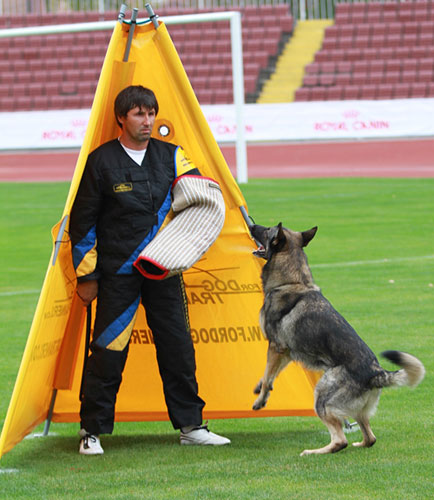 Gebrauchshundesport Versteck für Schuthundetraining