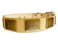 Edles Halsband aus Leder mit massiven Schildern kaufen Edles Halsband aus Leder mit massiven Schildern kaufen