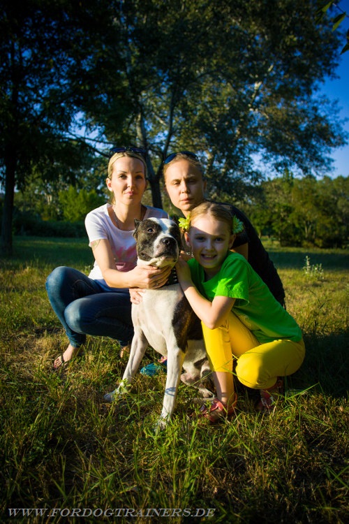 Hundezubehör kaufen