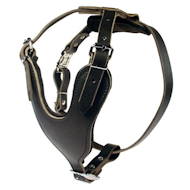 /images/agitation-leather-dog-harness-Leder%20Hundegeschirr-gepolstert.jpg
