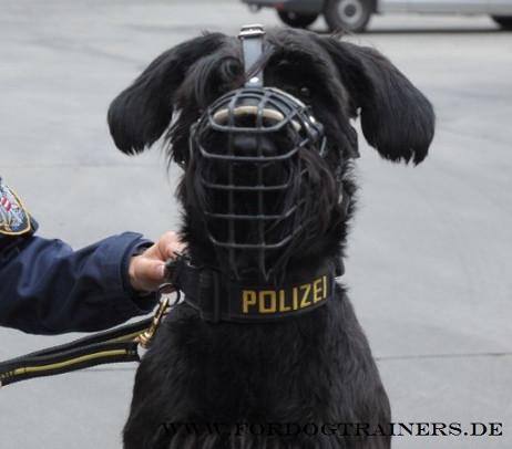 Gummierter Drahtkorb mit Stirnriemen für Diesnthunde und Polizeihund