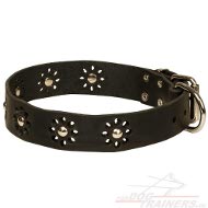 Flower Tango Style Leather Dog Collar with Nickel Studs