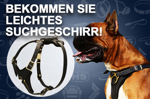 Hundegeschirr aus Leder