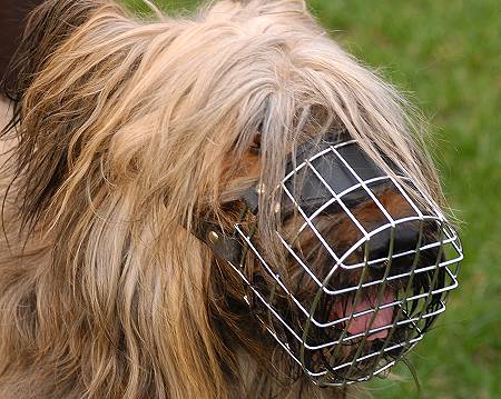 Wire basket muzzle Briard