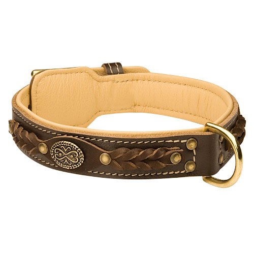 Luxury leather dog collar, Brown