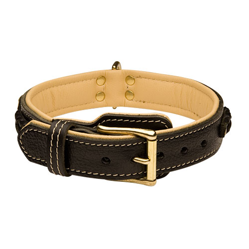 dog collar for gsd