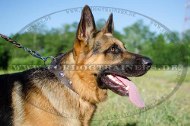 Genietetes mit Conchos Schäferhund Halsband