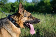 German Shepherd Studded Collar with Stone Design