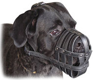 Cane Corso Everyday Light Weight Ventilation Dog muzzle