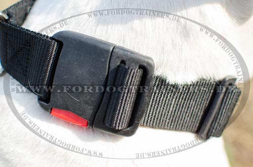 K9 Nylon Halsband für Amerikanische Bulldoge