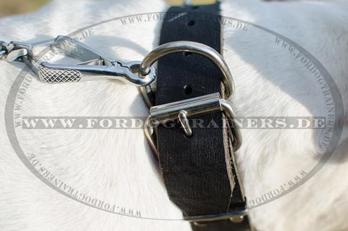 Handgefertigtes Amerikanische
Bulldogge Hundehalsband Leder