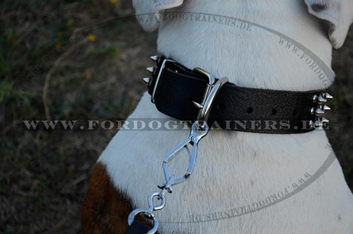 Amerikanische Bulldogge Hundehalsband Nieten