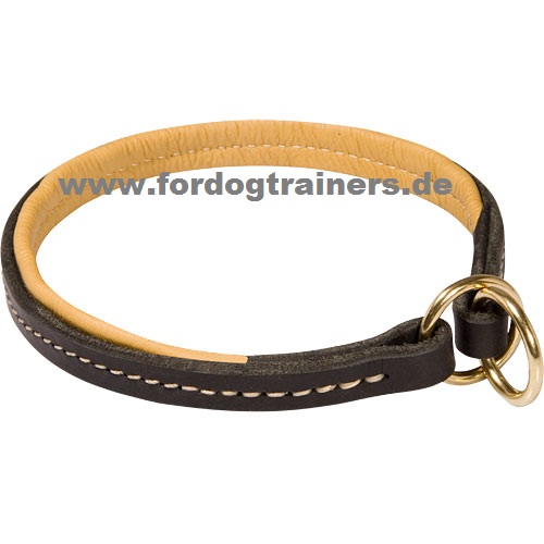 /images/dog-collars/Belgischer-Malinois-stillend-small.jpg