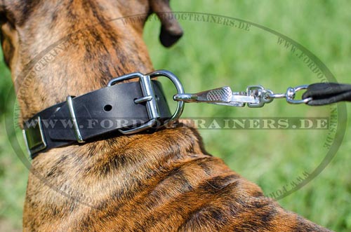 Halsband für Boxer bequem