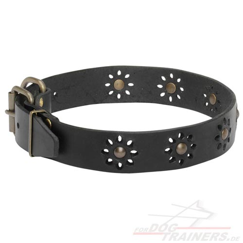 Hunde Halsband Blumen Stil mit Nieten