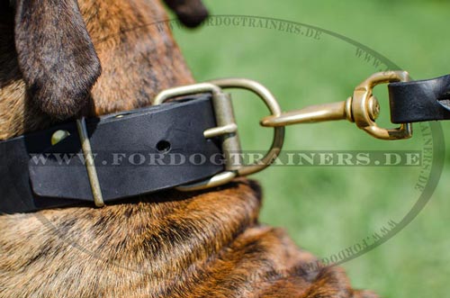 Boxer
Leder Halsband mit Platten