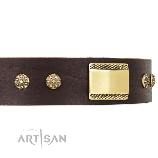 FDT Artisan braunes genietetes Lederhalsband