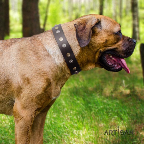 Nieten braunes Halsband aus Leder für Cane Corso