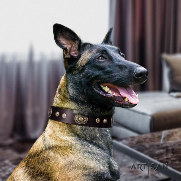 Genietetes Lederhalsband in braun für Malinois