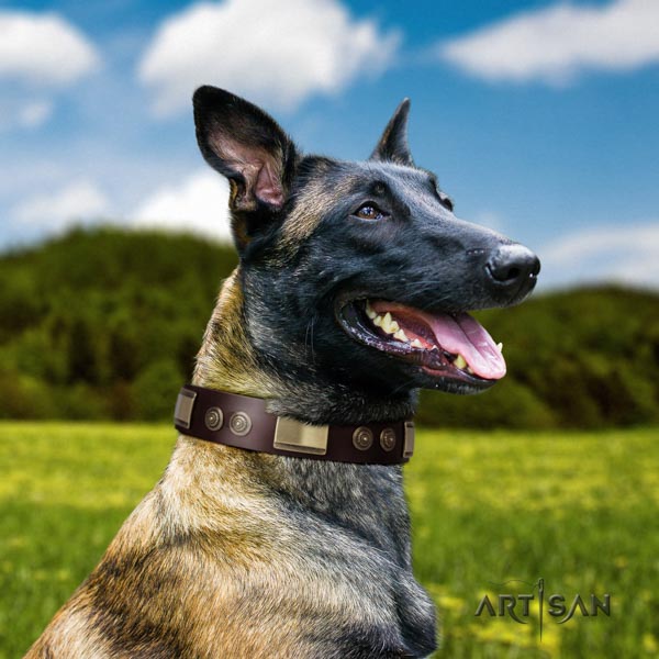 Genietetes Lederhalsband in braun für Malinois