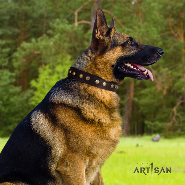 Schäferhund Halsband aus Leder in braun