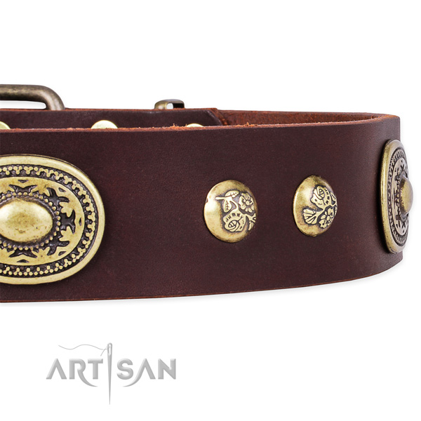 FDT Artisan braunes Halsband mit Nieten