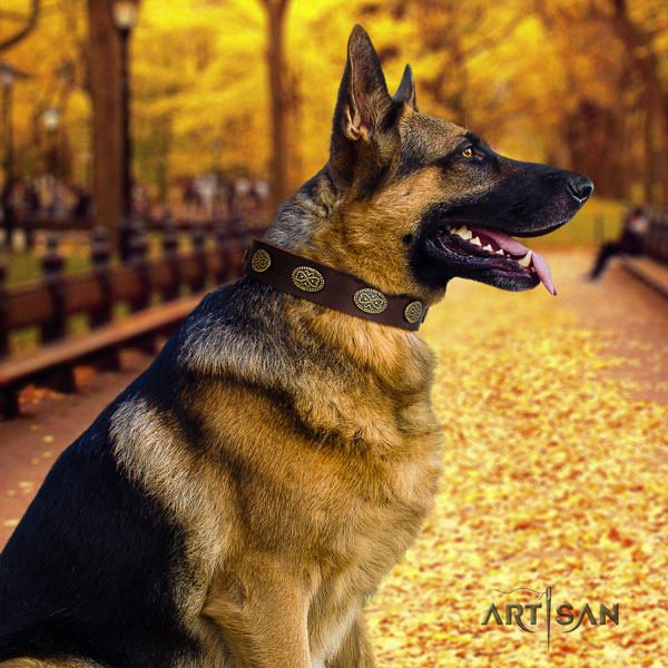 Schäferhund Halsband aus Leder in braun