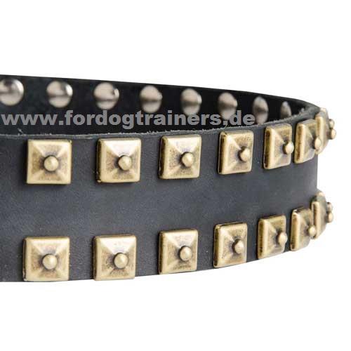  Malinois Hundehalsband robust