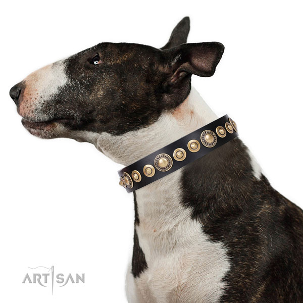 Bull Terrier Halsband aus Leder