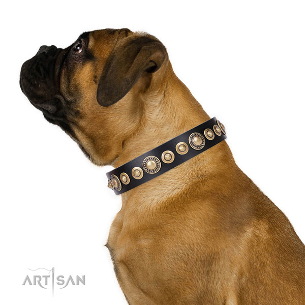 Nieten Halsband aus Leder für Bullmastiff