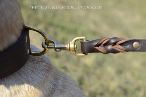 Labrador Lederhalsband kaufen