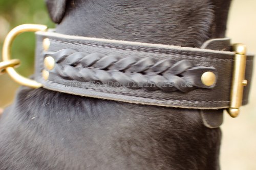 Cane Corso Halsband Geflochten für Alltag