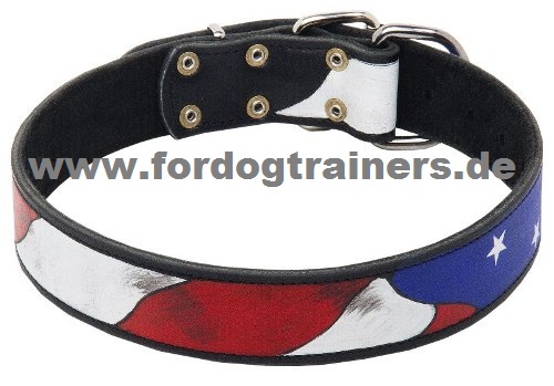 USA Stil Halsband für Bulldogge