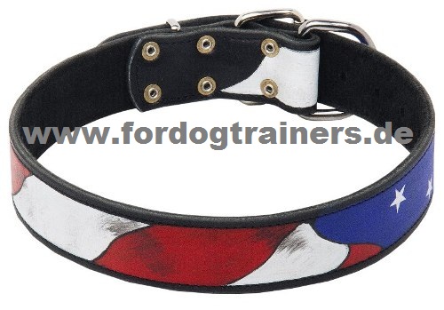 USA Stil Halsband für Boxer