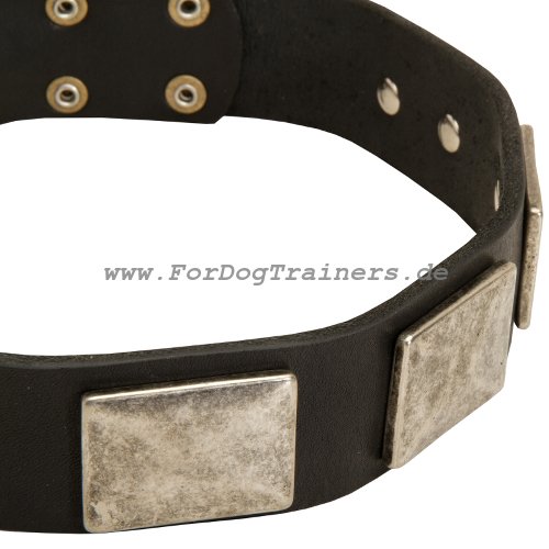 Leather dog collar for Pit Bull Germany