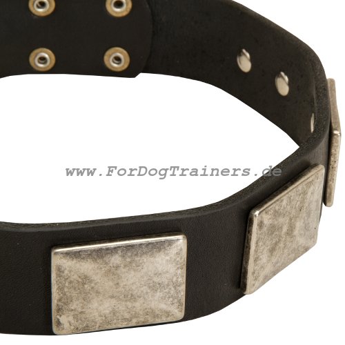 Designer Halsband für Hunde mit Massiven Zierplatten