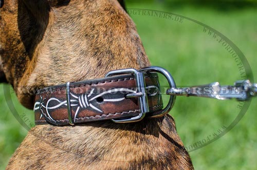 Dog collar for German Boxer buy