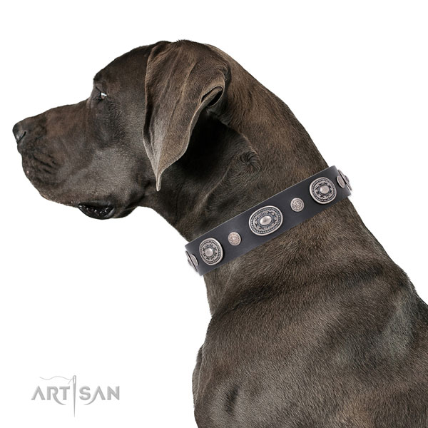 Deutsche Dogge Halsband aus Leder