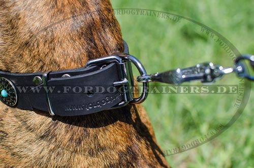 Hundehalsband robust